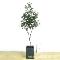 uploads/erp/collection/images/Home Garden/dgjiawang/XU0613025/img_b/XU0613025_img_b_5